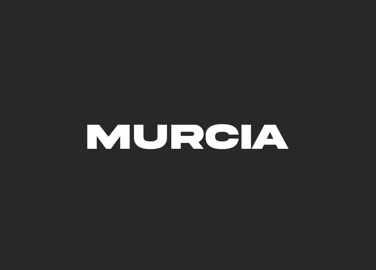 MURCIA TOUR ARCHITEX VISIT SPAIN 1